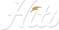 Logo with the word 'Hits' in a stylized font on a white background